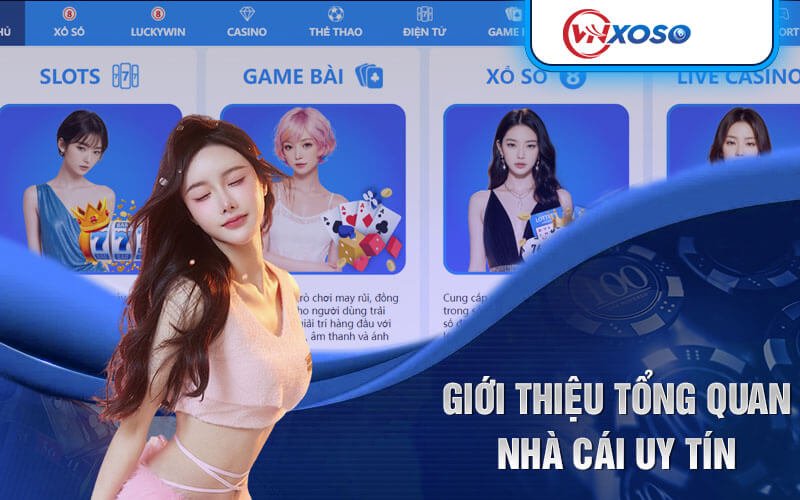 Nhà cái vnxoso là gì ? Giới thiệu vnxoso