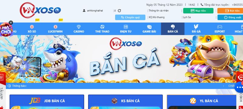 Hướng dẫn cách chơi game bắn cá online Vnxoso bạn nên biết