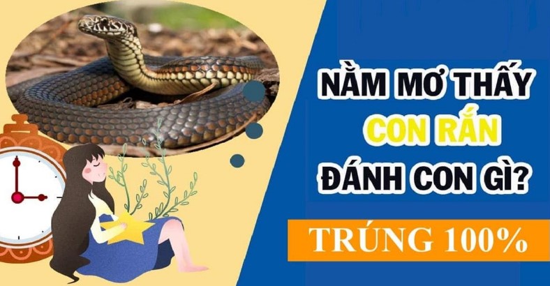 Ngủ mà mơ thấy rắn đuổi chạy một đoạn